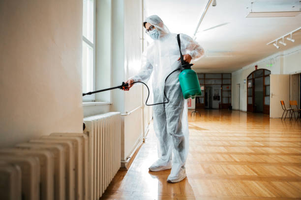 Best Fumigation Services  in Portola, CA